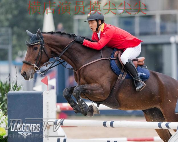 世界杯竞猜网站解析：速度测试+直播全指南 - 世界杯全球总决赛