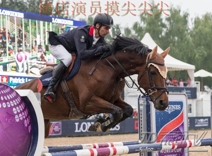 世界杯竞猜网站解析：速度测试+直播全指南 - 世界杯全球总决赛